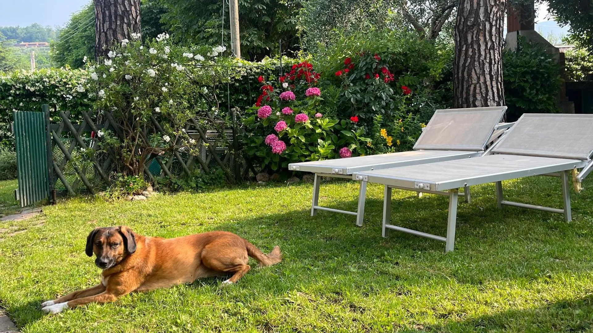 Appartamenti Garda Mulino 0*, Garda (Verona) Italien